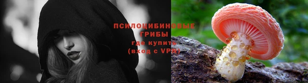 стаф Армянск