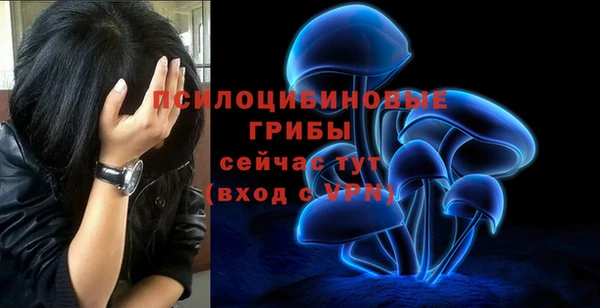 крисы Арсеньев