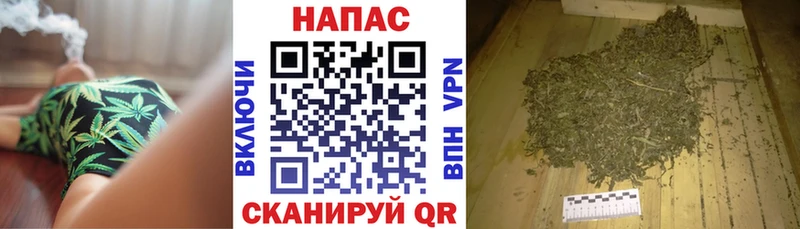 Бошки Шишки сатива  Тайшет 