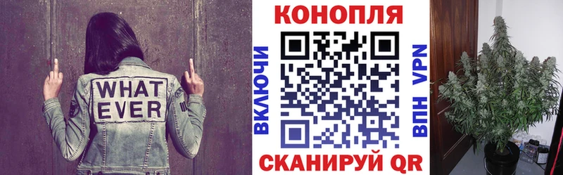 Бошки марихуана Bruce Banner Тайшет